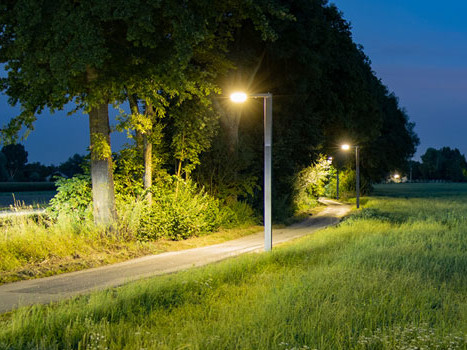LED-Solarleuchten entlang eines Weges